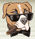 Private Poker Freerolls at Pibull Poker