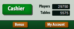 Special Bonus at Everest Poker