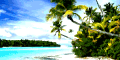 Best deposit bonus at Tropical Poker