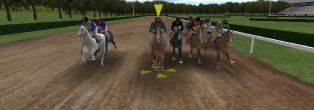 Virtual Horse Races